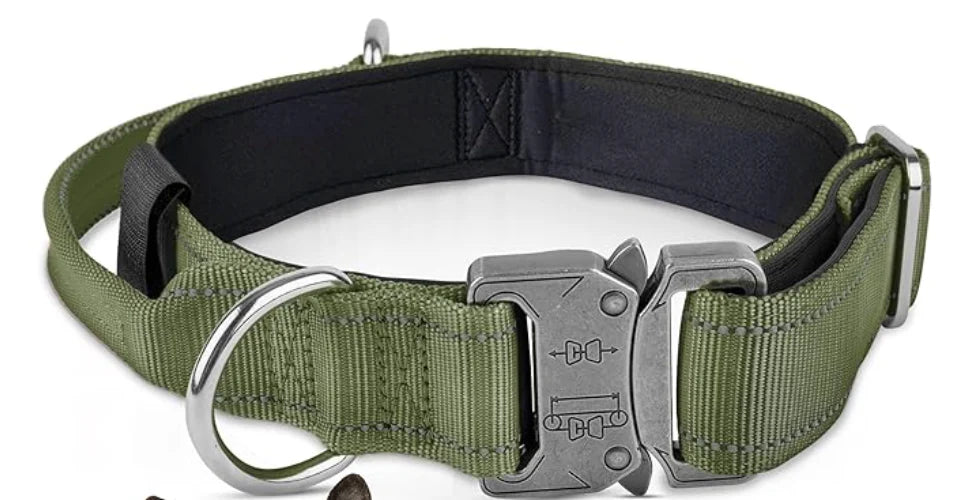 Dog Collar