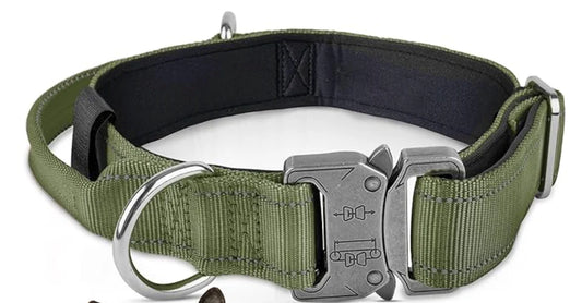 Dog Collar