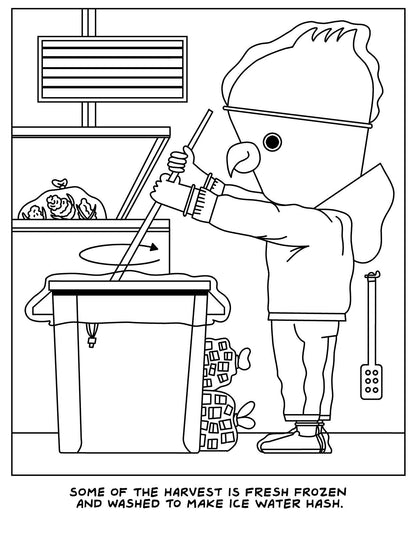 A Visit To The Cannabis Farm Coloring Book