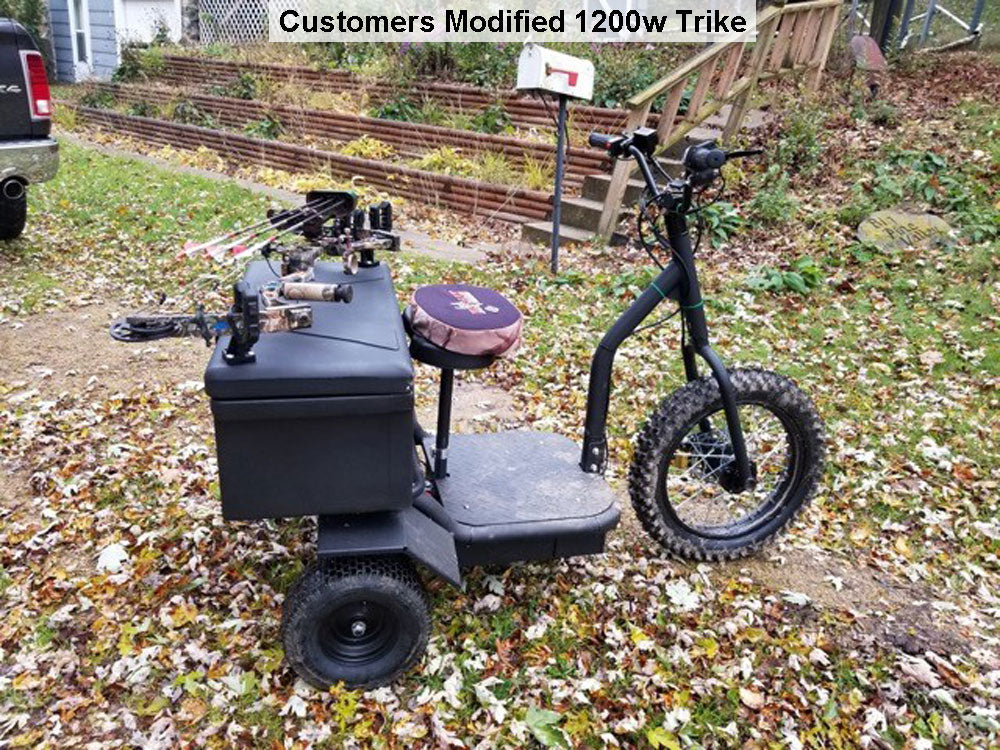 Electric Trike 48v 1200w